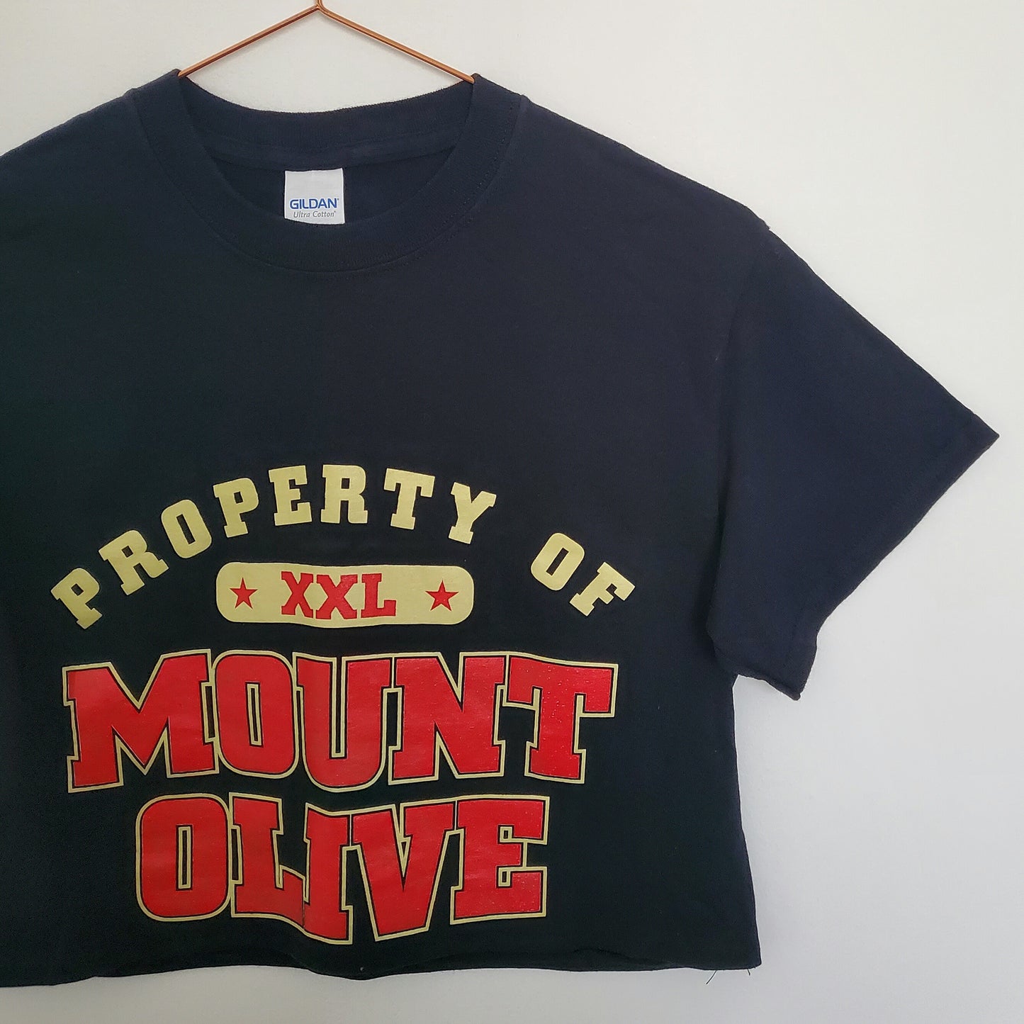 Reworked Vintage Crop Graphic Tee | Size 8