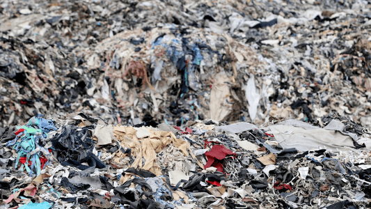 EU Approves Ban on Destruction of Unsold Textiles