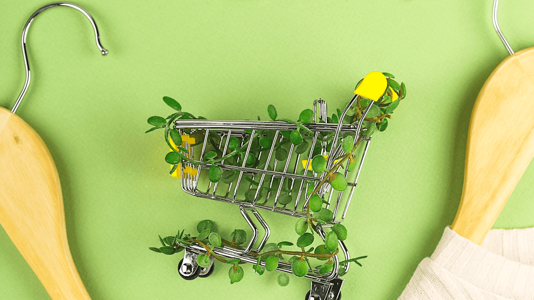 A Guide to Eco-Friendly Consumerism in 2024