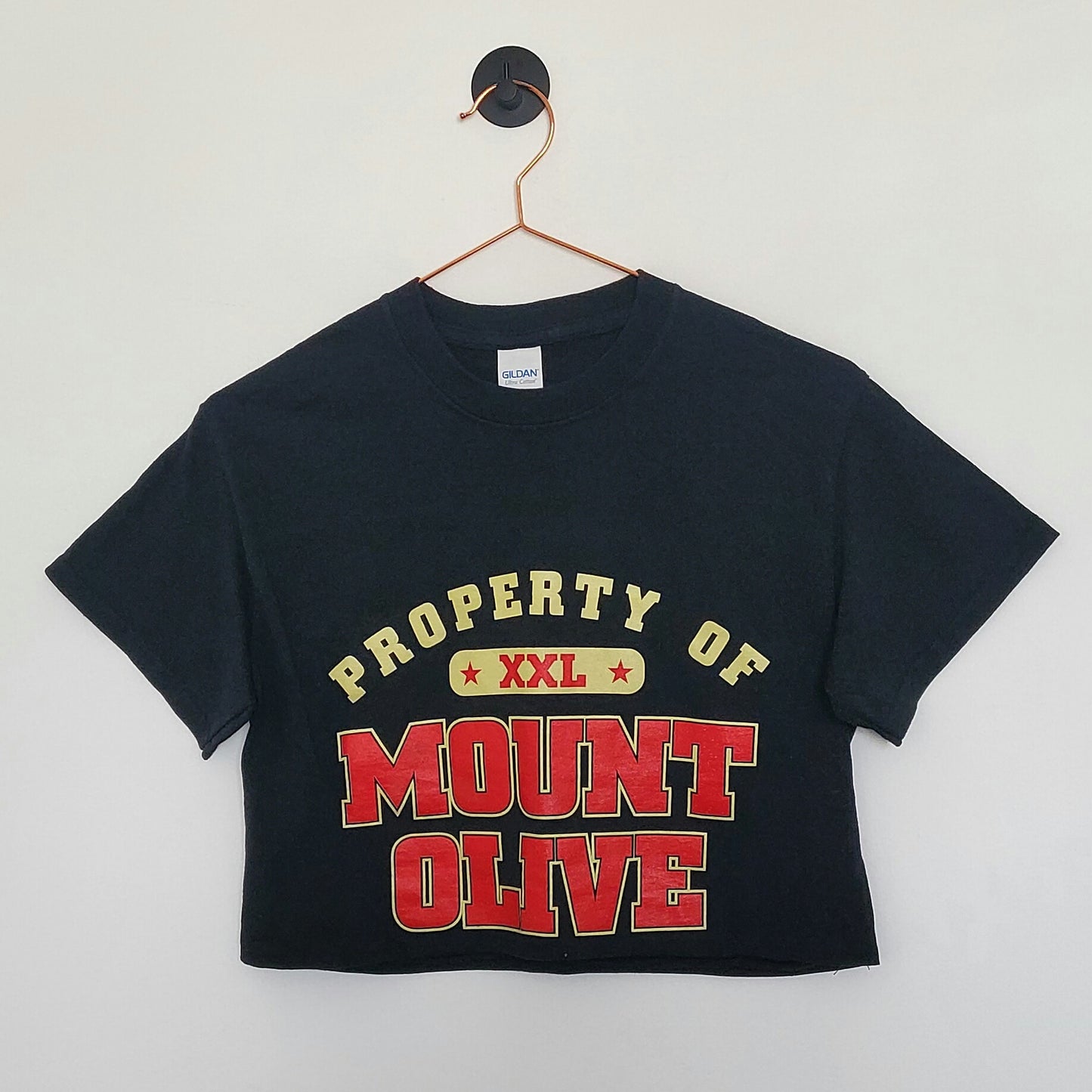 Reworked Vintage Crop Graphic Tee | Size 8