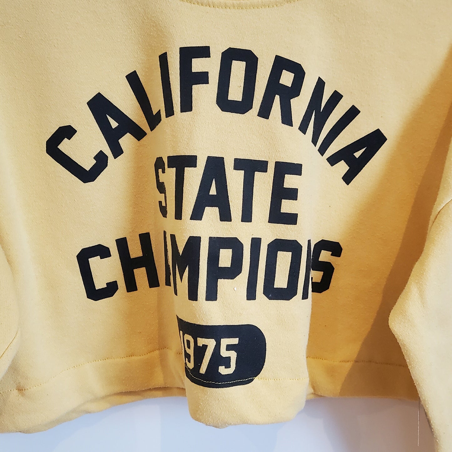 Reworked Y2K Oversized California Crop Top | Size 10