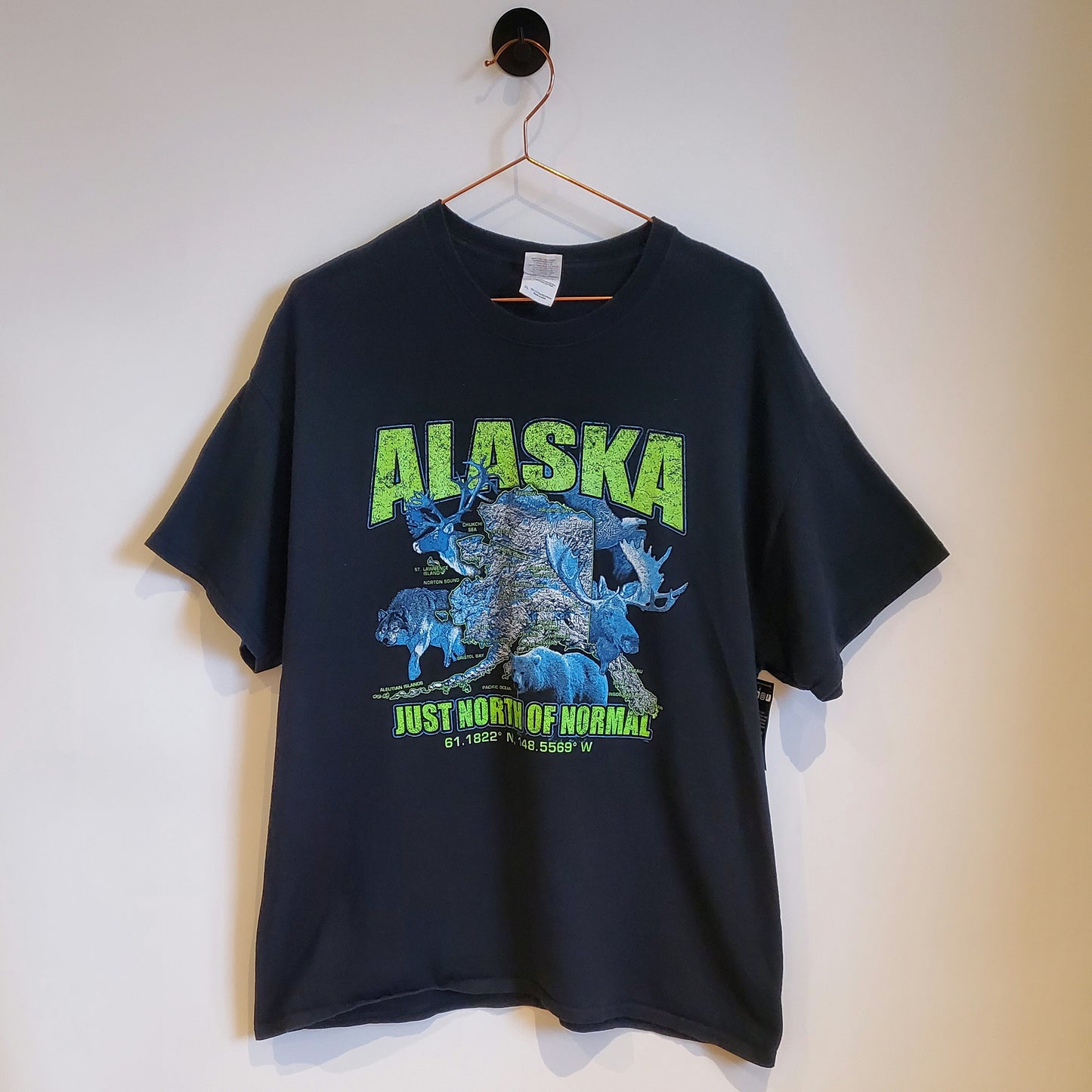 Vintage 90's Alaska Graphic T-shirt | Size XL