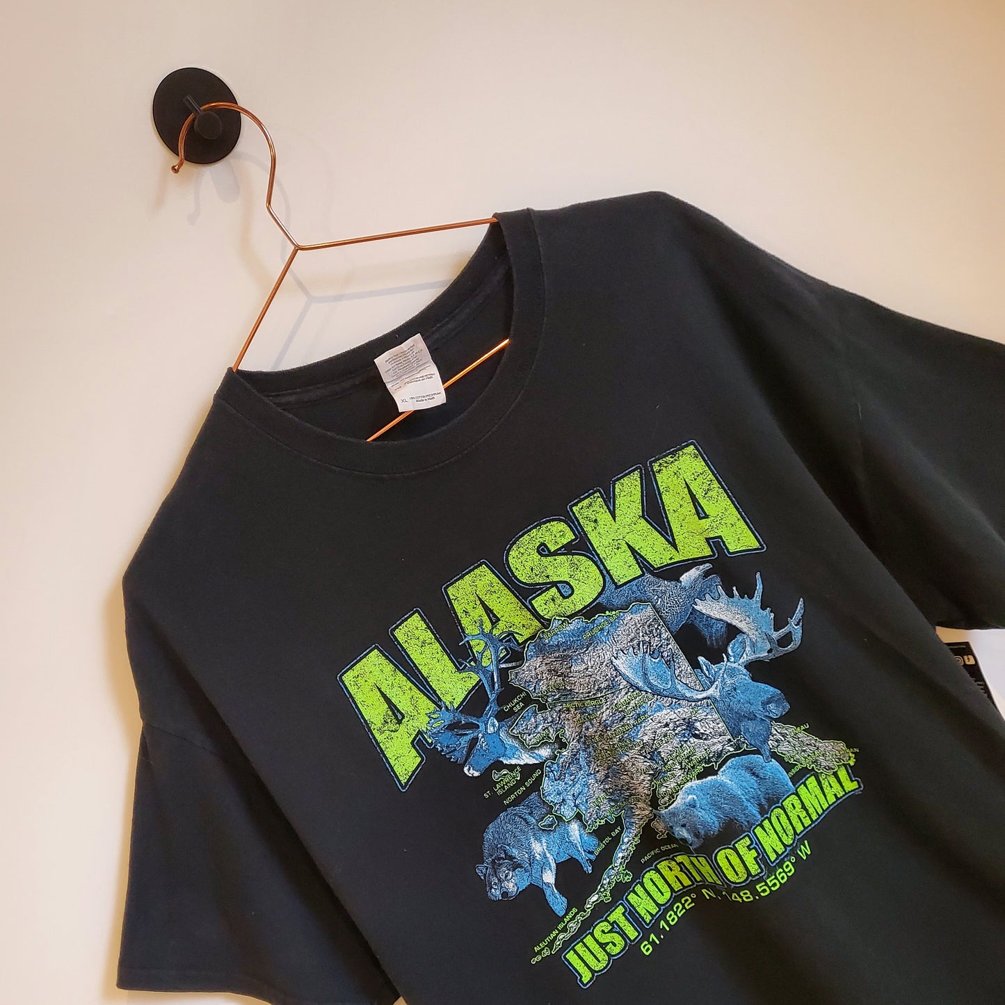 Vintage 90's Alaska Graphic T-shirt | Size XL
